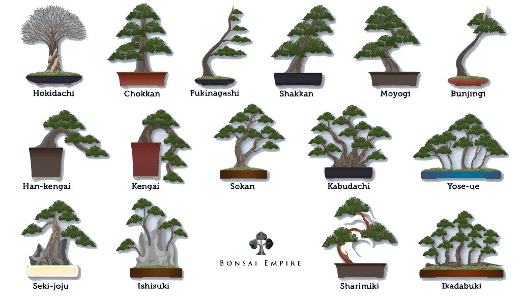 bonsai-styles.png